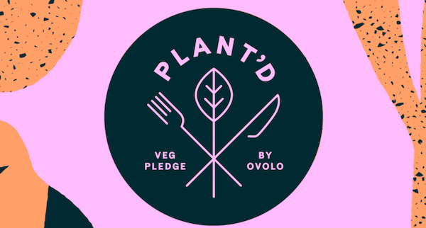 Ovolo Hotels launch new plant-based menus 