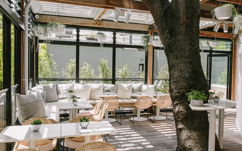 The Best Healthy Cafes in Sydney for a Wholesome Brunch or Lunch