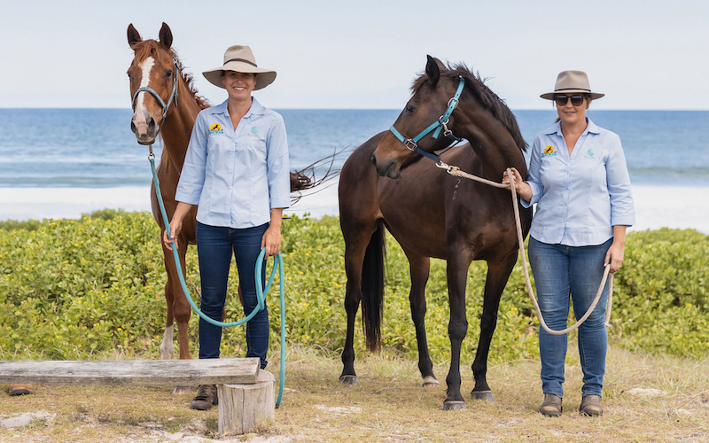 Love horses or know someone who does? This space now offers equine focused retreats