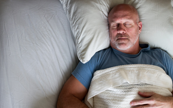 Are You a Lion Bear Wolf or Dolphin? Discover Your Natural Sleep Chronotype