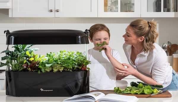 You can now grow your own herbs on your kitchen benchtop thanks to these new indoor growers