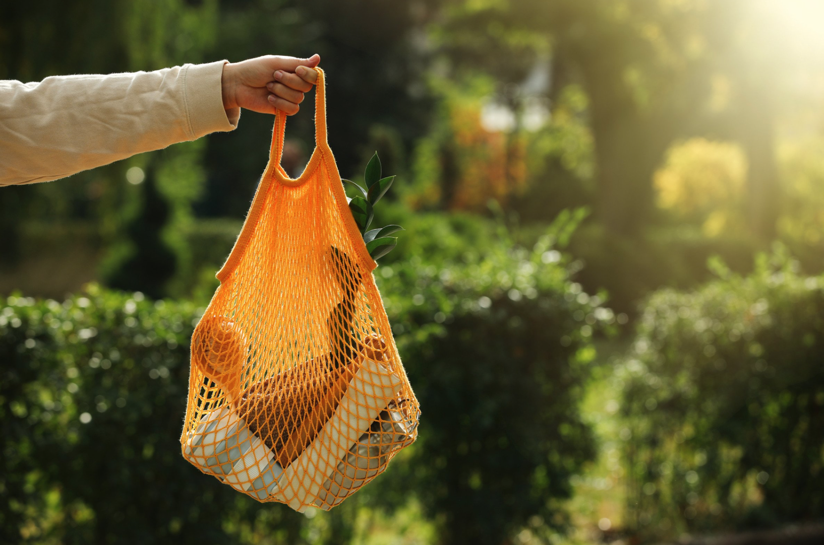 Here’s how you can save up to 50% off clean and conscious brands