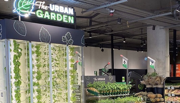 Australia's first in-supermarket vertical farm can now be found in Woolworths
