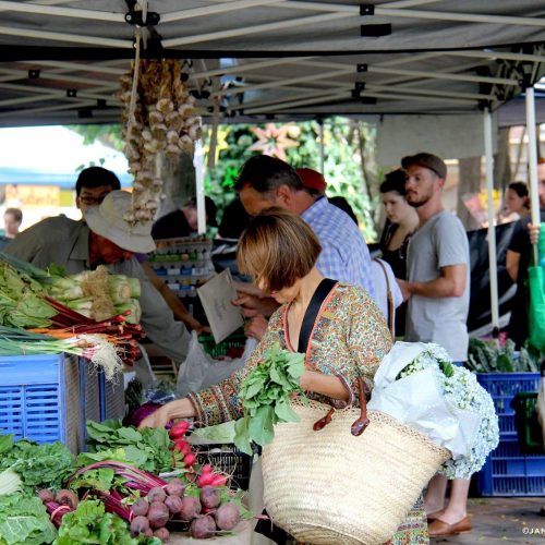 Organic Food Markets-Mona Vale