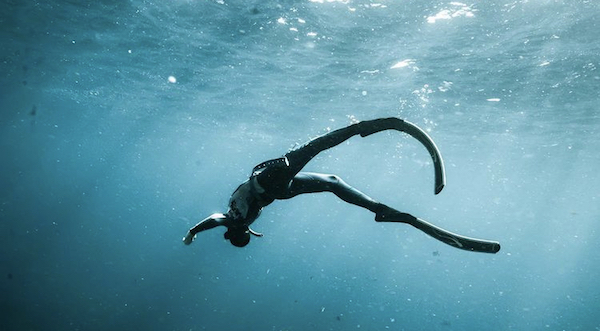 Immersia Freediving is now available on the Northern Beaches