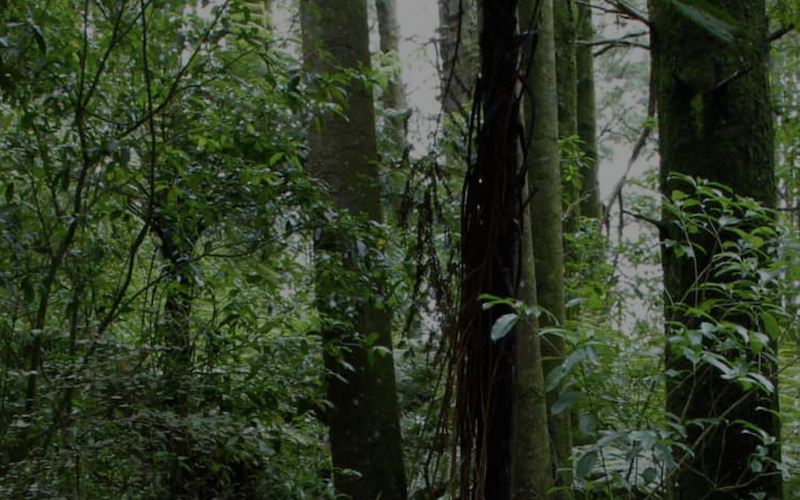 In need of a reboot? Here’s how you could make one yours with The Wellness Hotel