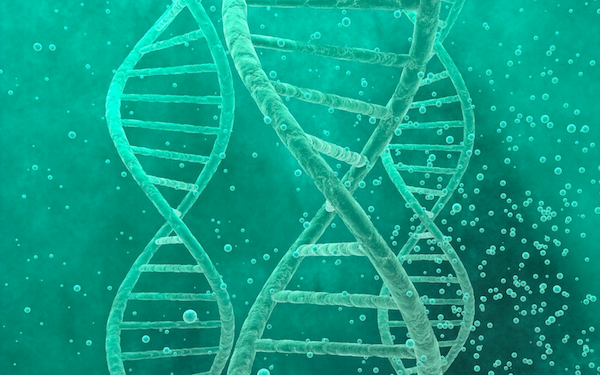 What Your Genes Can Reveal About Fatigue, Mood, Gut Health, and Longevity