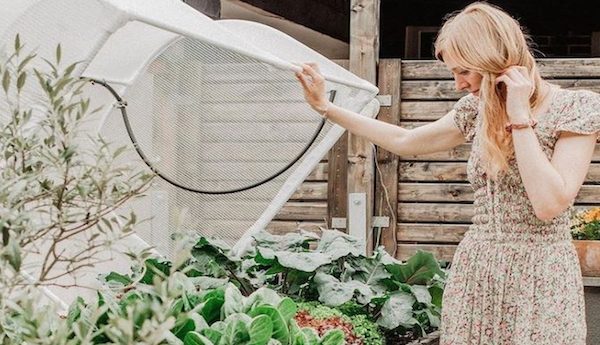 Scoring a Vegepod so you can grow your own food is now as easy as making everyday purchases