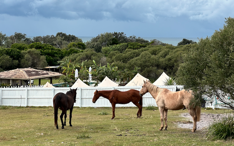 15% off Sweet Retreats Women’s Retreats at The Sugar Beach Ranch