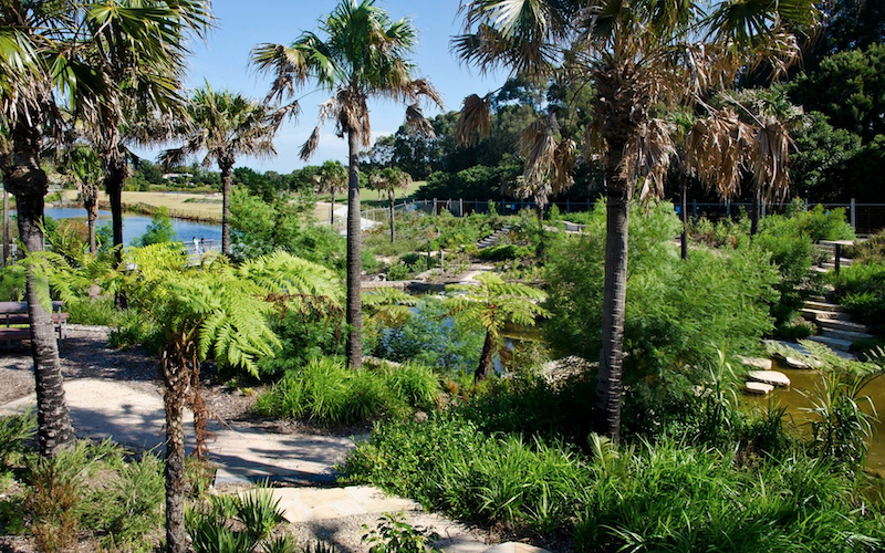 5 Sydney running tracks perfect for running festival prep during your lunch break