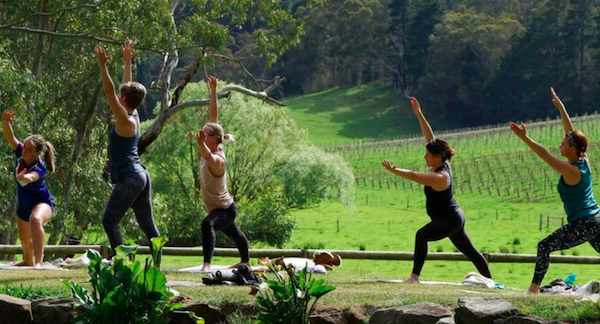 Wellness Tourism Unearthed Launched