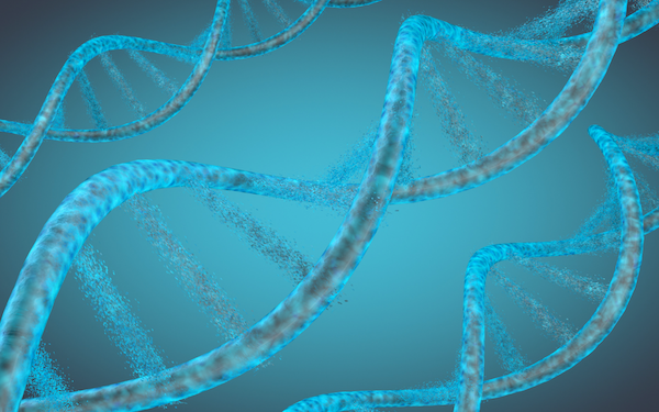 How Genetic Insights Can Shape Your Anti-Ageing and Longevity Strategy