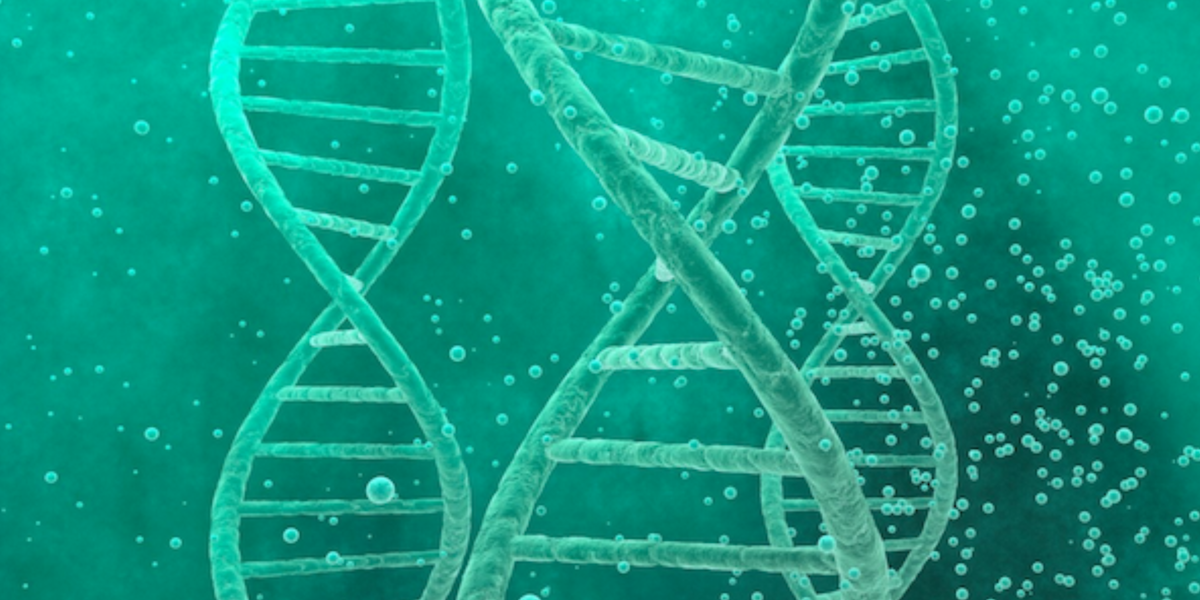 What Your Genes Can Reveal About Fatigue, Mood, Gut Health, and Longevity