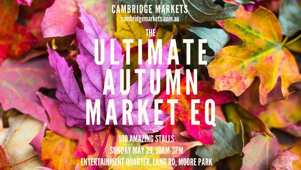 The Ultimate Autumn Market EQ