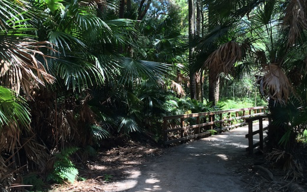 Narabeen-Lagoon-Trail.png